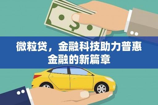 洪雅微粒贷，金融科技助力普惠金融的新篇章