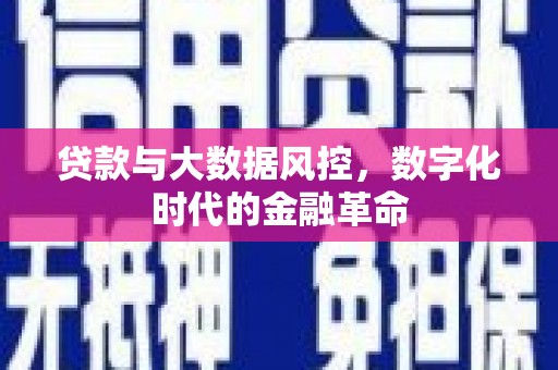 静宁贷款与大数据风控，数字化时代的金融革命