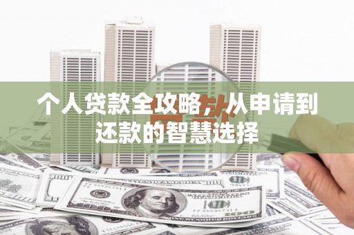乐东个人贷款全攻略，从申请到还款的智慧选择