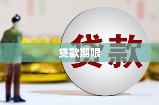 久治贷款期限