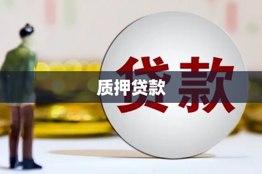盐边质押贷款
