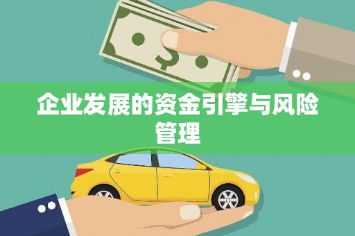 聂荣企业发展的资金引擎与风险管理