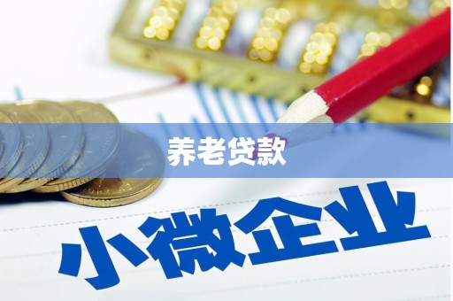 汤原养老贷款