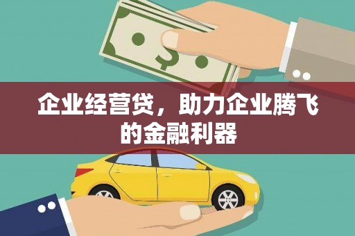 巴青企业经营贷，助力企业腾飞的金融利器