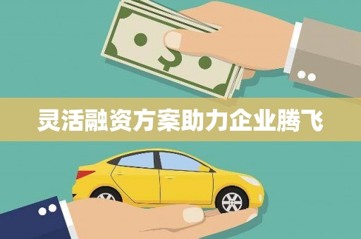 坪林灵活融资方案助力企业腾飞