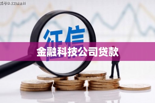 岳普湖金融科技公司贷款