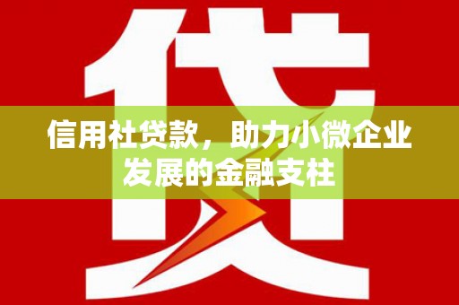 盐埕信用社贷款，助力小微企业发展的金融支柱