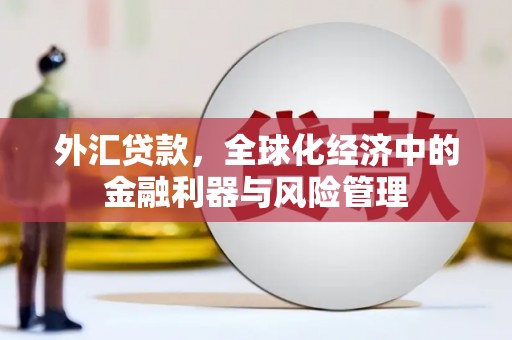 兴山外汇贷款，全球化经济中的金融利器与风险管理