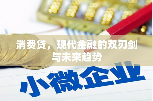 邵阳消费贷，现代金融的双刃剑与未来趋势