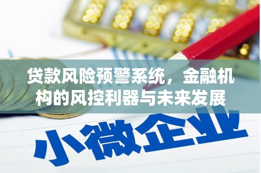 清丰贷款风险预警系统，金融机构的风控利器与未来发展
