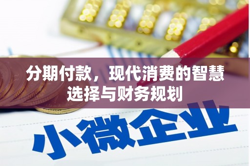 坪林分期付款，现代消费的智慧选择与财务规划
