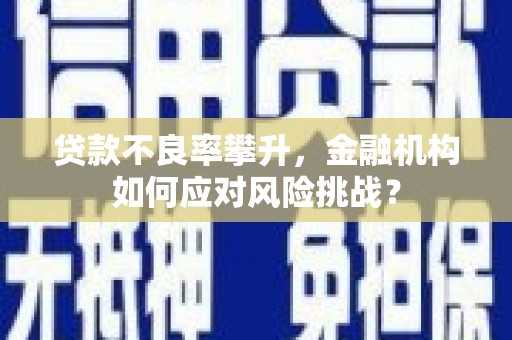 蚌埠贷款不良率攀升，金融机构如何应对风险挑战？