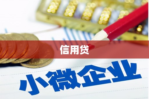 成县信用贷