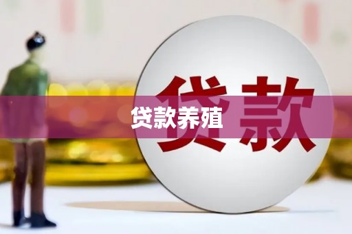 河津贷款养殖