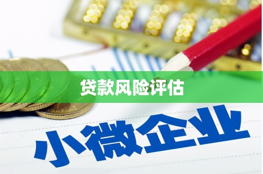 梅山贷款风险评估