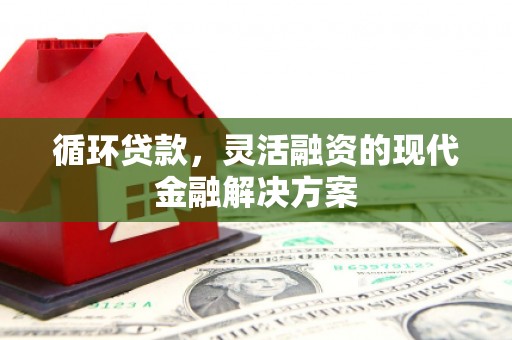 代县循环贷款，灵活融资的现代金融解决方案