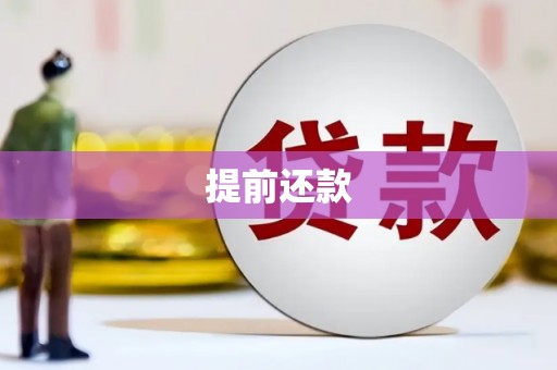 安仁提前还款