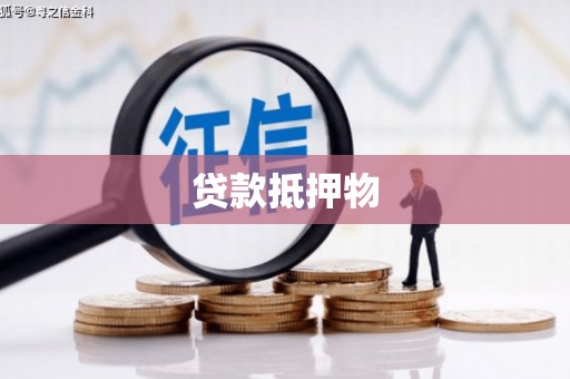 务川贷款抵押物