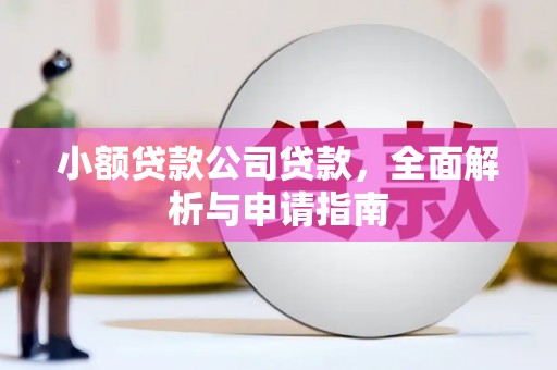 津南小额贷款公司贷款，全面解析与申请指南