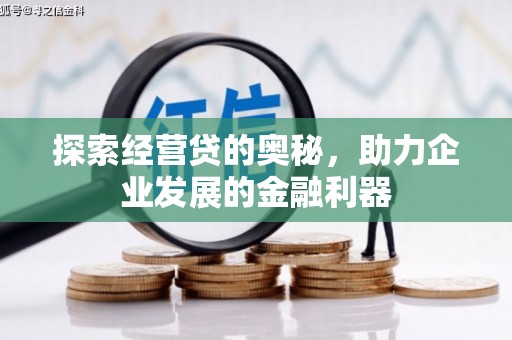 夏邑探索经营贷的奥秘，助力企业发展的金融利器
