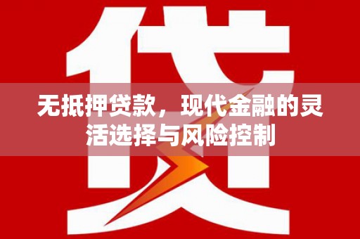 武隆无抵押贷款，现代金融的灵活选择与风险控制
