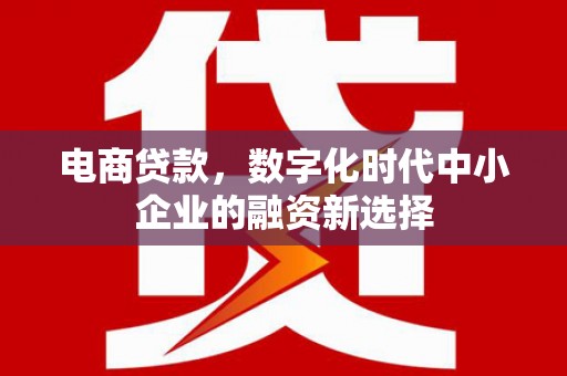 麦积电商贷款，数字化时代中小企业的融资新选择