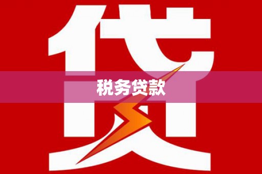 江东税务贷款