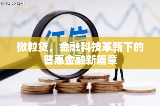 霍城微粒贷，金融科技革新下的普惠金融新篇章