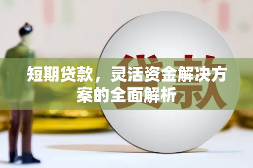 凤阳短期贷款，灵活资金解决方案的全面解析