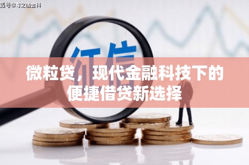 华宁微粒贷，现代金融科技下的便捷借贷新选择