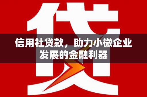 泰顺信用社贷款，助力小微企业发展的金融利器