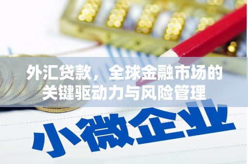 宣威外汇贷款，全球金融市场的关键驱动力与风险管理