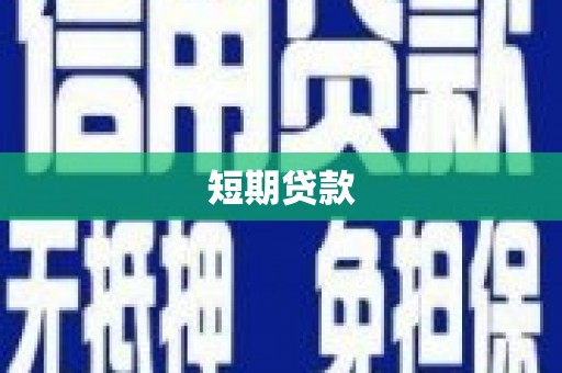 资源短期贷款