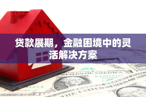 桐城贷款展期，金融困境中的灵活解决方案