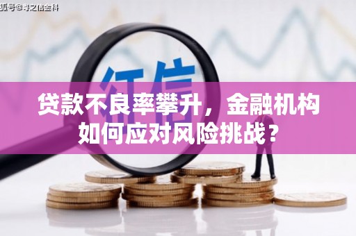 桐庐贷款不良率攀升，金融机构如何应对风险挑战？