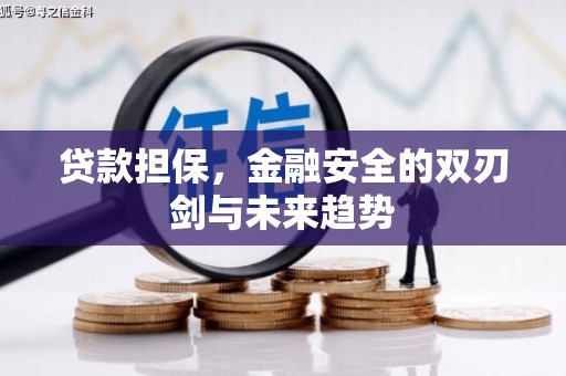 青冈贷款担保，金融安全的双刃剑与未来趋势