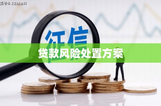 瑞昌贷款风险处置方案