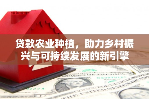 安南贷款农业种植，助力乡村振兴与可持续发展的新引擎