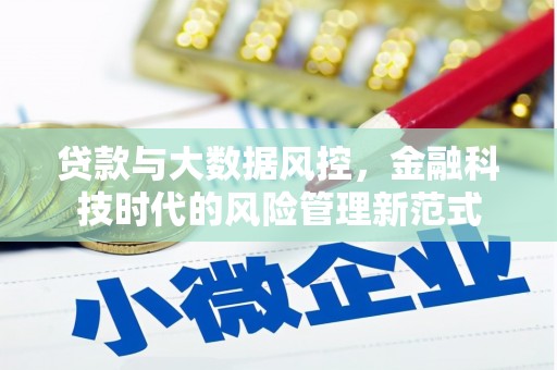 竹东贷款与大数据风控，金融科技时代的风险管理新范式