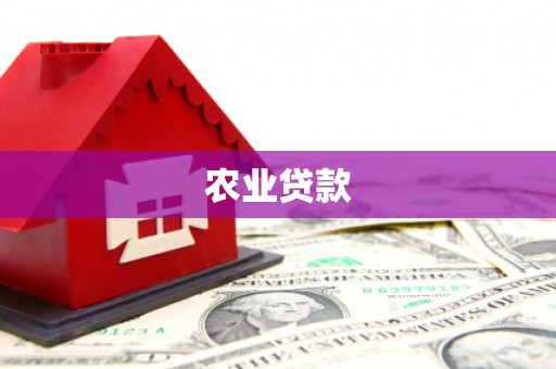 洮南农业贷款