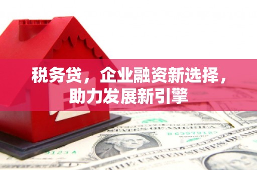 镇坪税务贷，企业融资新选择，助力发展新引擎