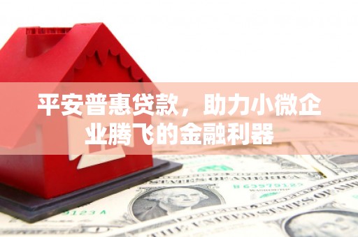 王益平安普惠贷款，助力小微企业腾飞的金融利器