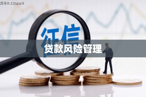 民和贷款风险管理
