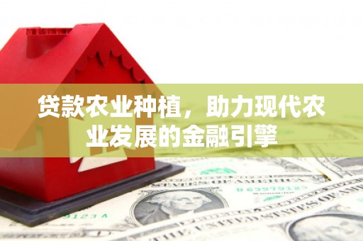 芦洲贷款农业种植，助力现代农业发展的金融引擎