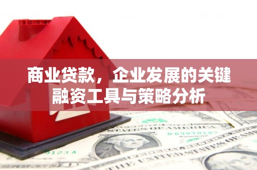察雅商业贷款，企业发展的关键融资工具与策略分析