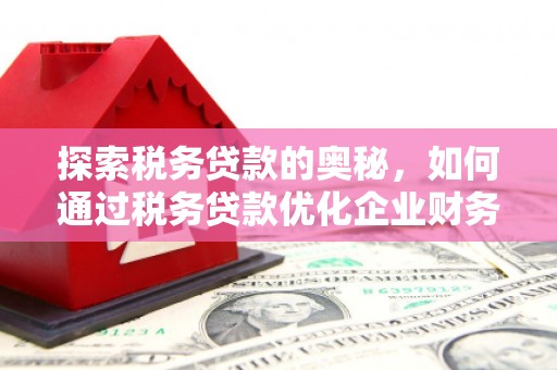 武胜探索税务贷款的奥秘，如何通过税务贷款优化企业财务