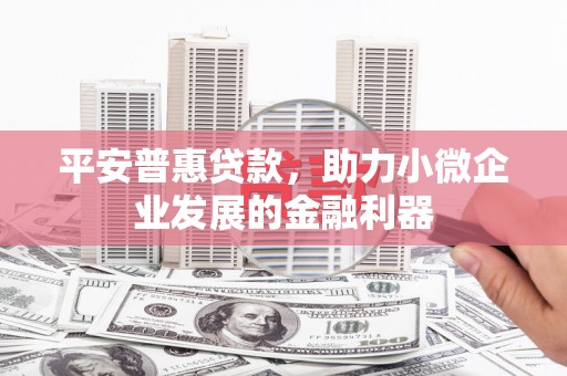 屯留平安普惠贷款，助力小微企业发展的金融利器
