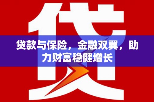 玉树贷款与保险，金融双翼，助力财富稳健增长