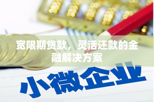 西吉宽限期贷款，灵活还款的金融解决方案