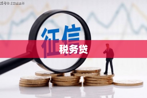 康县税务贷